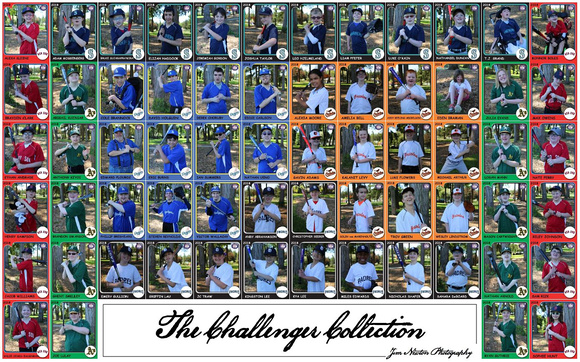 The Challenger Collection